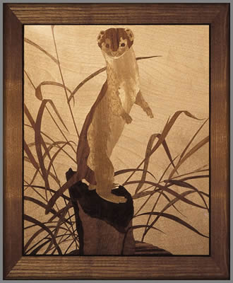 The Stoat